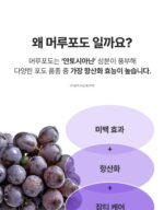 SUNGBOON EDITOR Meoru Podo Vita C Dark Spot Cream 50ml - Image 32