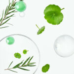 TOCOBO Cica Calming Serum 50ml - Image 4