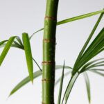PURITO Mighty Bamboo Panthenol Cream 100ml - Image 2