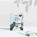 Anua Houttuynia Cordata 77 Soothing Sheet Mask Pack 25ml*10pack - Image 4
