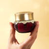 Sooryehan Hyobidam Fermented Eye Cream 25ml