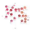CLIO Apple Series Crystal Glam Tint 3.4g