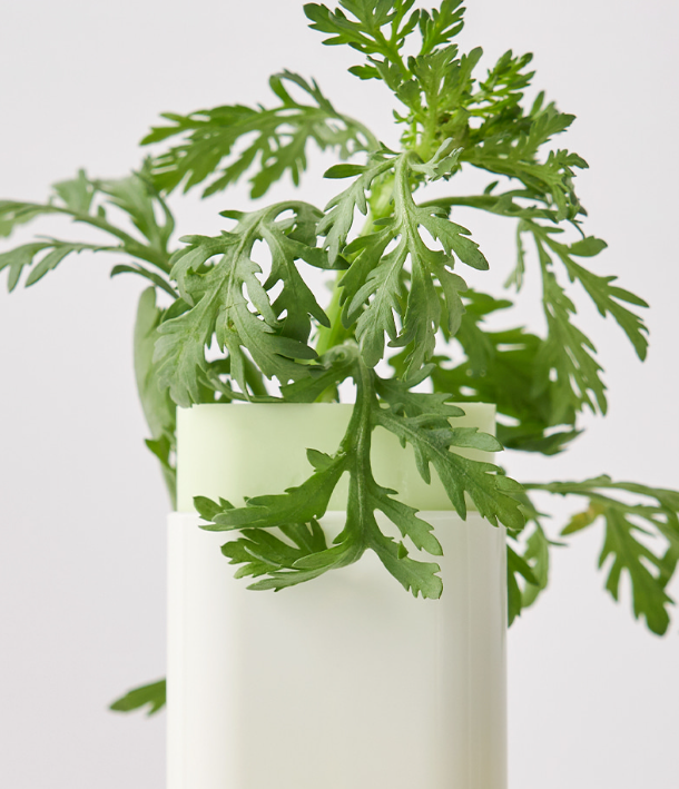 370 Beauty of Joseon Matte Sun Stick 18g - Image 1