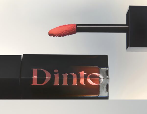 Dinto Blur Glowy Lip Tint 3.5g [New Color]
