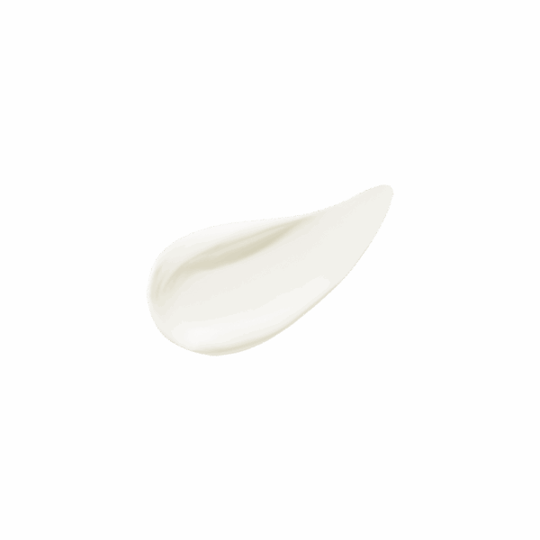 BANILA CO Prime Primer Sun Base SPF50+ PA++++ 50ml - EmpressKorea
