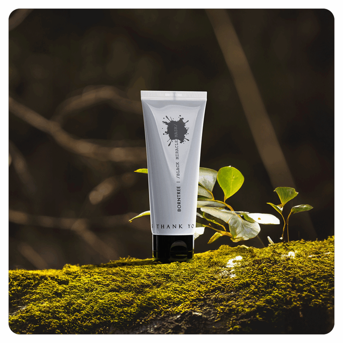 BORNTREE Black Miracle Mask Pack 100ml - EmpressKorea