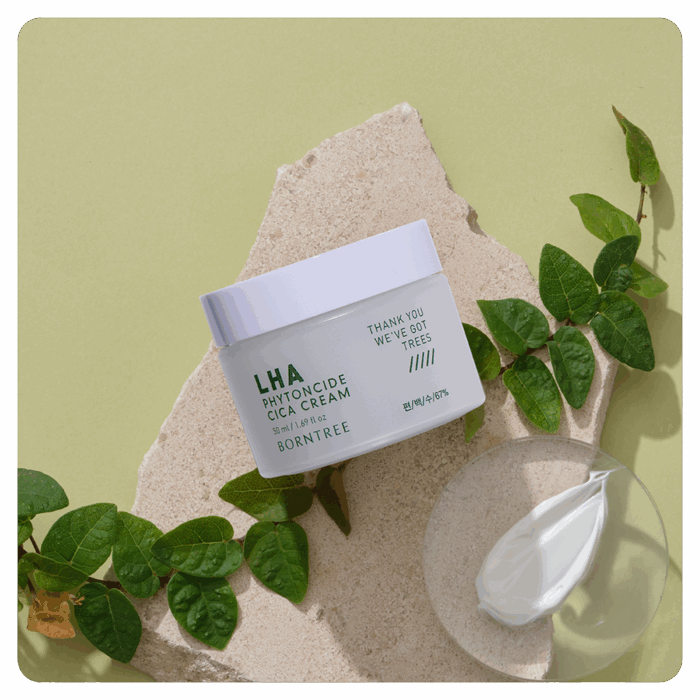 BORNTREE Laha Phytoncide Cica Cream 50ml - EmpressKorea