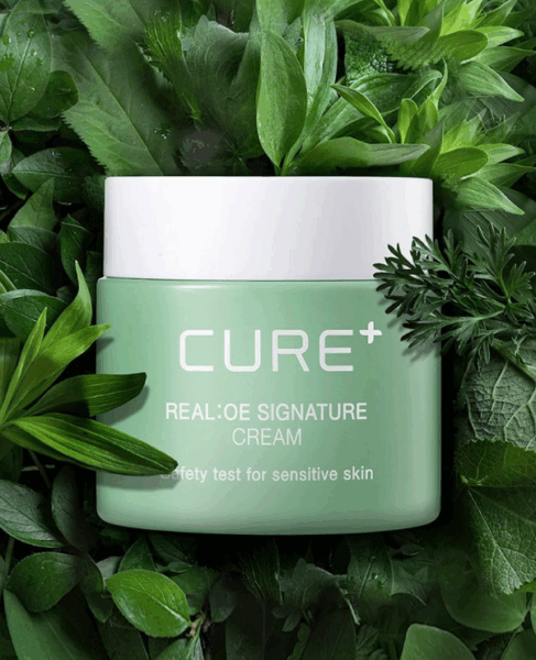 CURE Realoe Signature Cream 55g - EmpressKorea