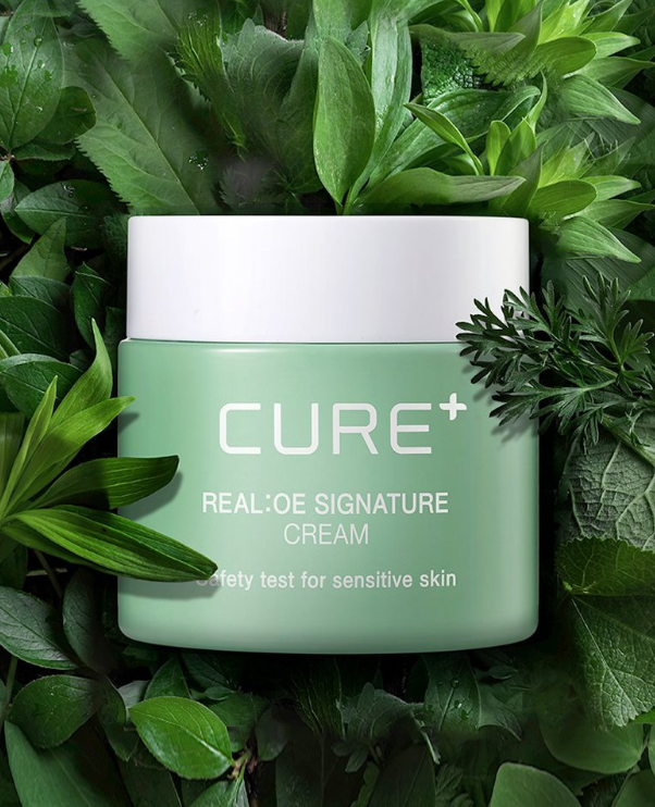 CURE Realoe Signature Cream 55g - EmpressKorea