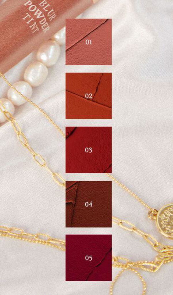 EGLIPS Blur Powder Tint (5 Colors) 1EA - EmpressKorea