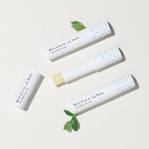 GOONGBE Moisture Lip Balm 3.3g - EmpressKorea