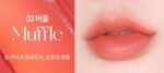 HOLIKA HOLIKA Foggy Blur Tint (6 Colors) 4g - EmpressKorea