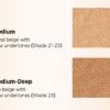 JUNGSAEMMOOL Essential Skin Nuder Long Wear Cushion 14g with Refill - EmpressKorea