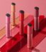 JUNGSAEMMOOL LIP-PRESSION Glow lasting Tint 4g - EmpressKorea