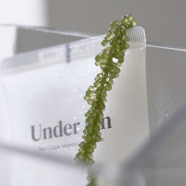 MUMCHIT Under ten Sea Grape Moisturizing Cream 100ml - EmpressKorea