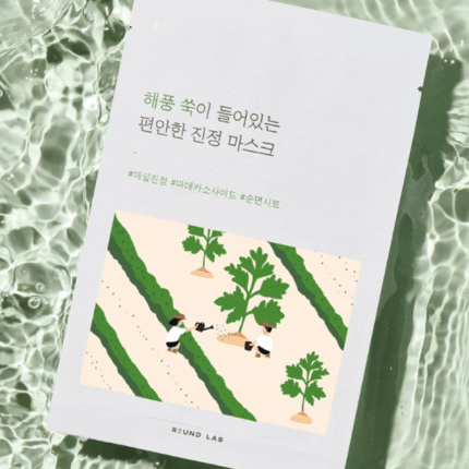ROUND LAB Sea Breeze Mugwort Soothing Mask 25ml*10 - EmpressKorea