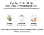 SIORIS More Than Lip Balm 4g - EmpressKorea