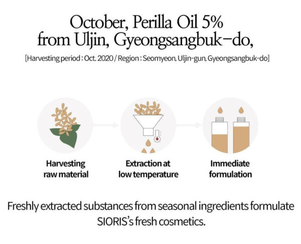 SIORIS More Than Lip Balm 4g - EmpressKorea