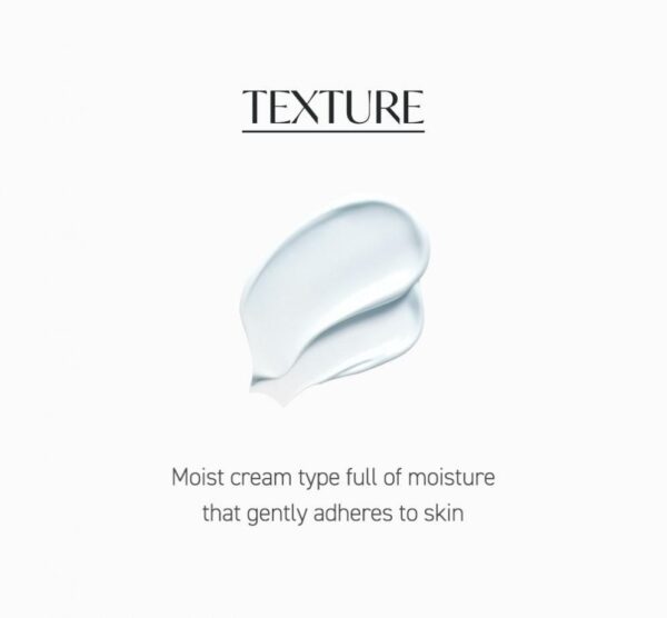 TORRIDEN Dive In Mild Suncream 60ml - EmpressKorea
