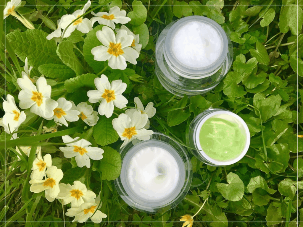 The Importance of Natural and Organic Skincare Products by EmpressKorea