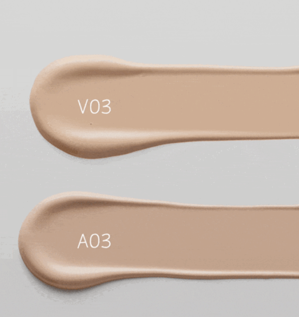 VDL Cover Stain Perfecting Cushion 13g(+Refill 13g)