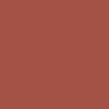 BRAYE Lipsleek 2.3g