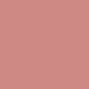 BRAYE Lipsleek 2.3g