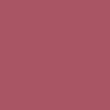 BRAYE Lipsleek 2.3g