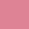 BRAYE Lipsleek 2.3g