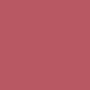 BRAYE Lipsleek 2.3g