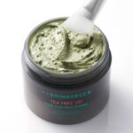 BRING GREEN Tea Tree Cica Pore Clay Pore Pack Strong 100g