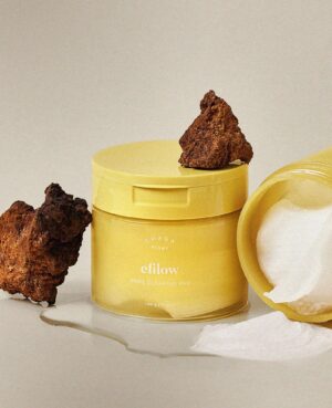 efilow Chaga Mushroom Biome Pore Clearing Pad 190g 70pad - EmpressKorea