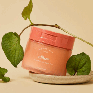 efilow Houttuynia Cordata Biome Trouble Soothing Pads 100 sheets 180g - EmpressKorea