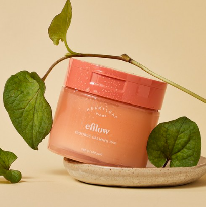 efilow Houttuynia Cordata Biome Trouble Soothing Pads 100 sheets 180g - EmpressKorea