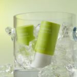 goodal Heartleaf Calming Cooling Sun Stick 19.5g x 2ea - EmpressKorea