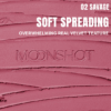 moonshot Performance Lip Blur Fixing Tint (9 Colors) 3.5g - EmpressKorea