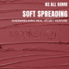 moonshot Performance Lip Blur Fixing Tint (9 Colors) 3.5g - EmpressKorea