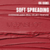 moonshot Performance Lip Blur Fixing Tint (9 Colors) 3.5g - EmpressKorea