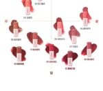 colorgram New Nude Blur Tint 5g 09~13 - Image 19