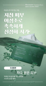 TONYMOLY Houttuynia Cordata Cica Quick Calming Cream 70g - Image 2