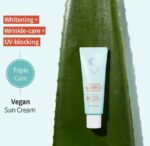 BE THE SKIN Sebum Zero Aloerice Vegan Sun Cream SPF 50+ PA++++ 50ml - Image 3