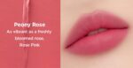 JUNGSAEMMOOL NEW CLASSIC Matte Lipstick 3.5g - Image 8