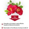 SKINEYE Natural Camellia Japonica Seed Oil 100 20ml