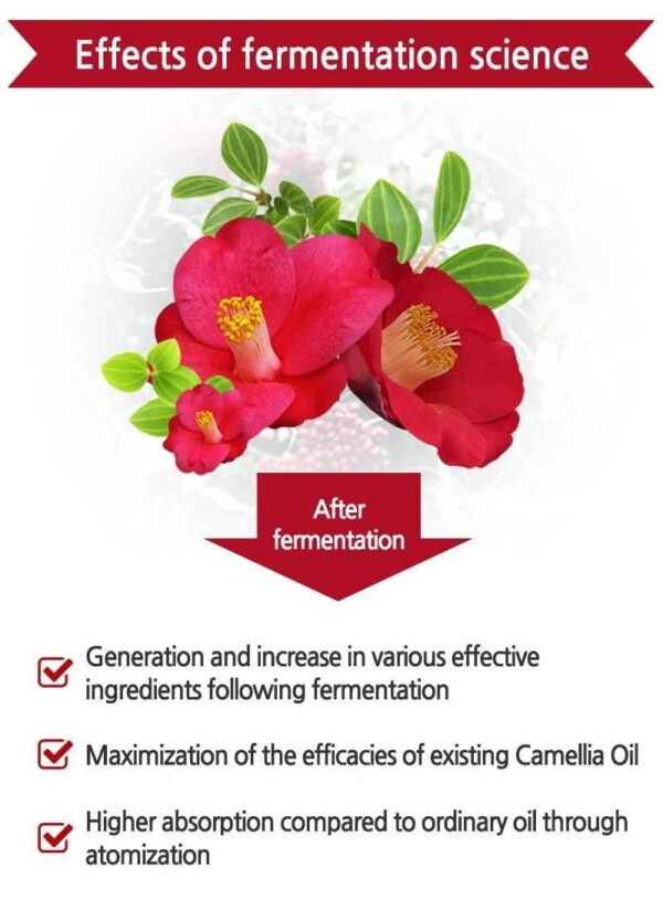 SKINEYE Natural Camellia Japonica Seed Oil 100 20ml